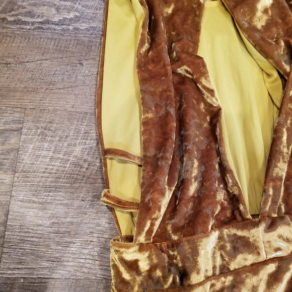 Velvet Dress - Picture 3 of 5